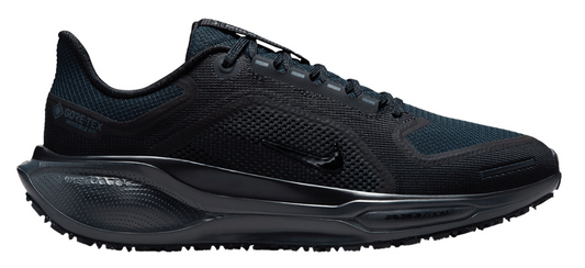 Women's Nike Air Zoom Pegasus 41 GTX