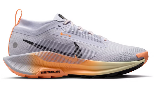 Women's Nike Pegasus Trail 5 GTX